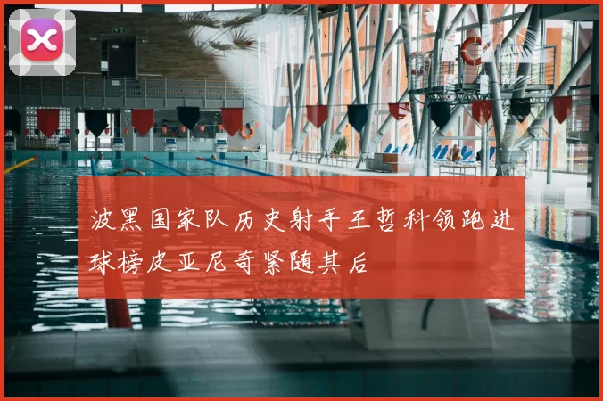 波黑国家队历史射手王哲科领跑进球榜皮亚尼奇紧随其后