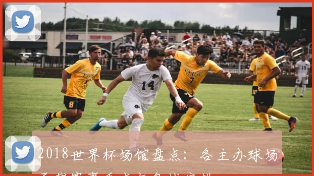 2018世界杯场馆盘点：各主办球场承载赛事看点与备战安排